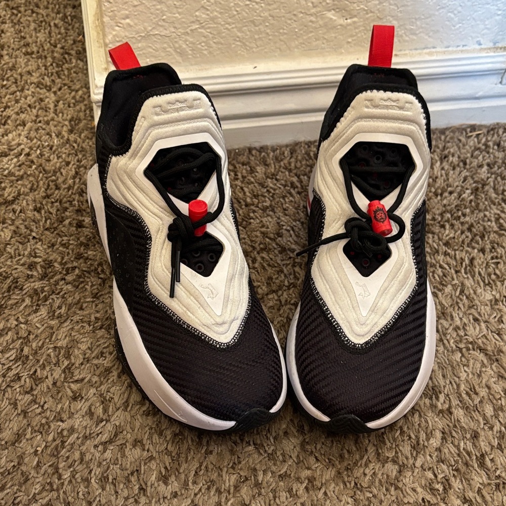 Nike LeBron Black and White Sneakers with Red Accents

Worn twice